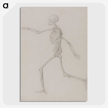 2-37_George-Stubbs_picture-crop