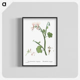 2-37_Histoire-des-Plantes-Grasses_blk-crop