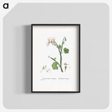 2-37_Histoire-des-Plantes-Grasses_blk