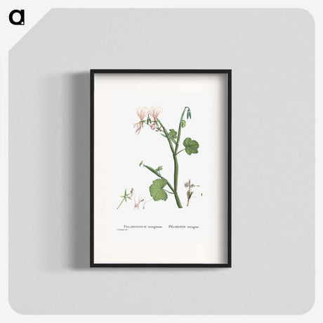 2-37_Histoire-des-Plantes-Grasses_blk