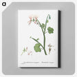 2-37_Histoire-des-Plantes-Grasses_canvas