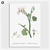 2-37_Histoire-des-Plantes-Grasses_picture-crop