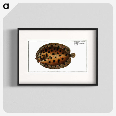 2-37_Ichtyologie-ou-Histoire-naturelle_blk