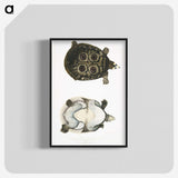 2-37_Indian-Zoology_blk-crop