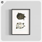2-37_Indian-Zoology_blk