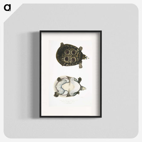 2-37_Indian-Zoology_blk
