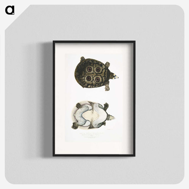 2-37_Indian-Zoology_blk
