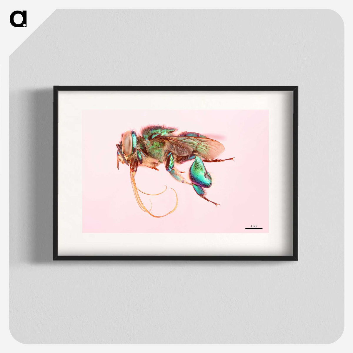 2-37_Insects-Unlocked-Project_blk