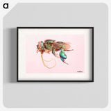 2-37_Insects-Unlocked-Project_blk