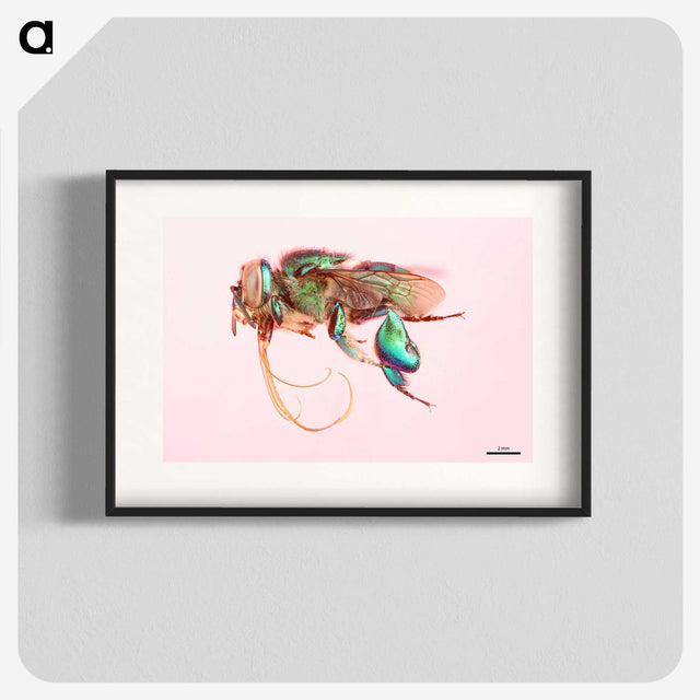 2-37_Insects-Unlocked-Project_blk