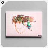 2-37_Insects-Unlocked-Project_canvas