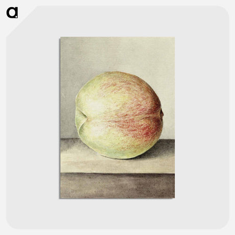 アートポストカード-Peach - ジャン ベルナール Postcard.