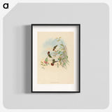 2-37_John-Gould_blk
