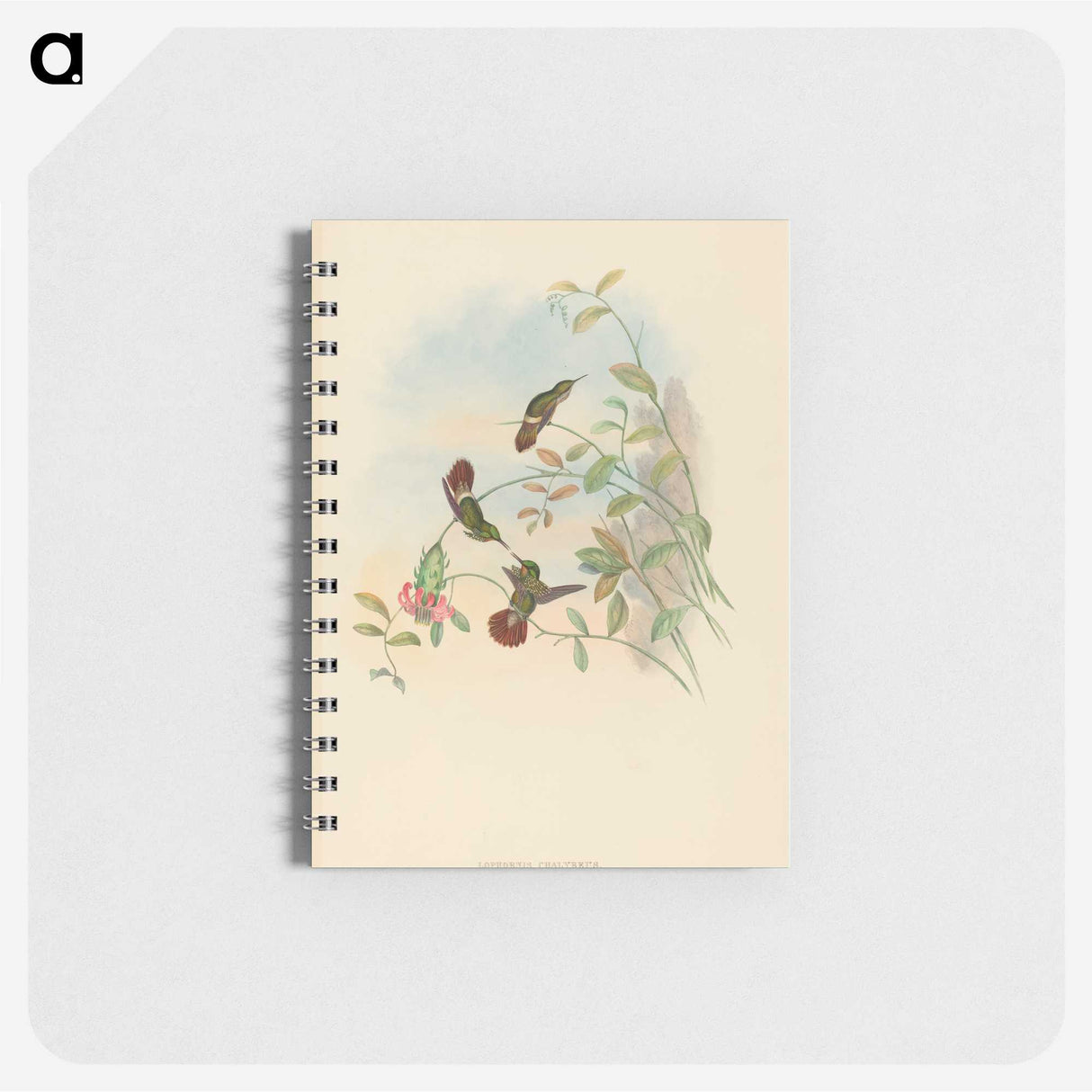 2-37_John-Gould_memo