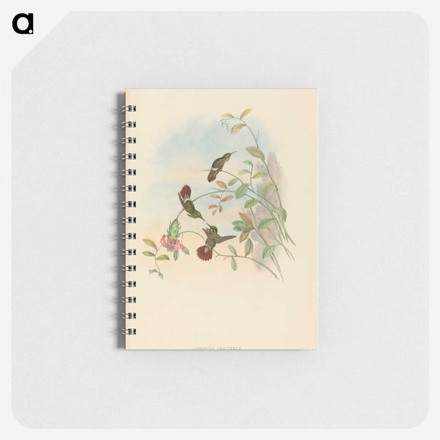 2-37_John-Gould_memo
