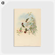 2-37_John-Gould_postcard