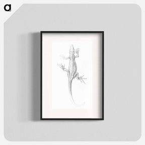 アートポスター-Lizard sketch - ユリー デ フラーハ Poster.
