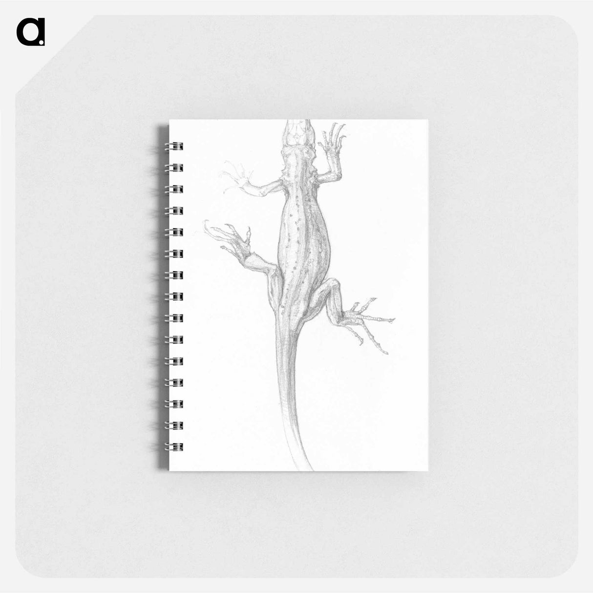 Lizard sketch - ユリー デ フラーハ Memo.