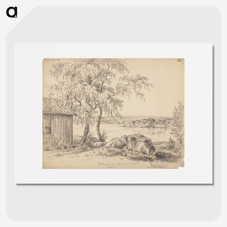 2-37_Magnus-von-Wright_picture