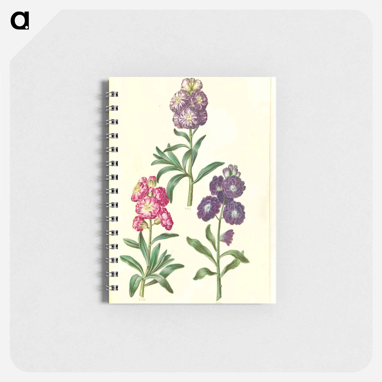 アートメモ帳-Flower Wreath
 - マリア ジビーラ メーリアン Memo.