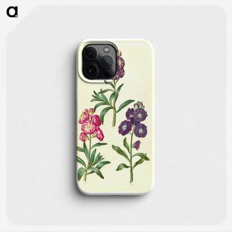 2-37_Maria-Sibylla-Merian_phone
