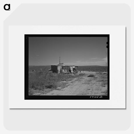 2-37_Marion-Post-Wolcott_picture