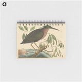 2-37_Mark-Catesby_memo