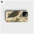 2-37_Mark-Catesby_phone