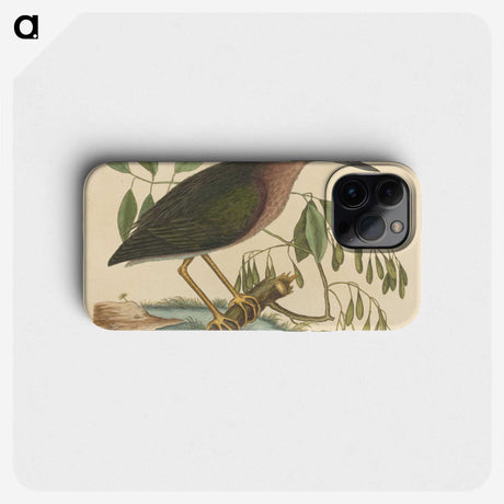 2-37_Mark-Catesby_phone