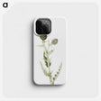 2-37_Mary-Vaux-Walcott_phone