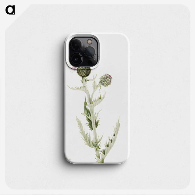 2-37_Mary-Vaux-Walcott_phone