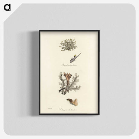 2-37_Medical-Botany_blk-crop