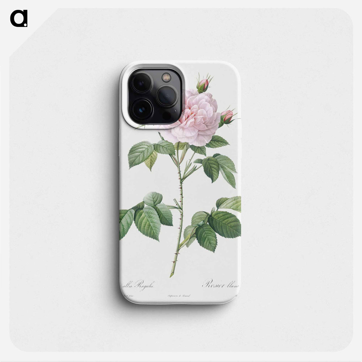 Royal White Rose - ピエール ジョゼフ ルドゥーテ Phone Case.