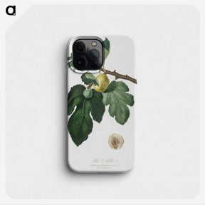 2-37_Pomona-Italiana_phone