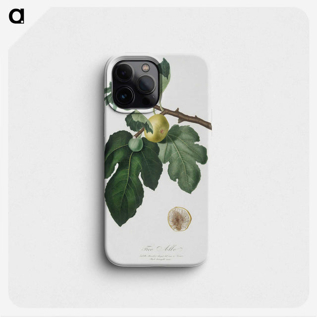 2-37_Pomona-Italiana_phone