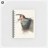 アートメモ帳-Barn Swallow from Birds of America
 - アメリカの鳥たち Memo.