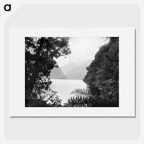 2-37_The-Burton-Brothers_picture