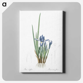 2-37_The-Lilies_canvas