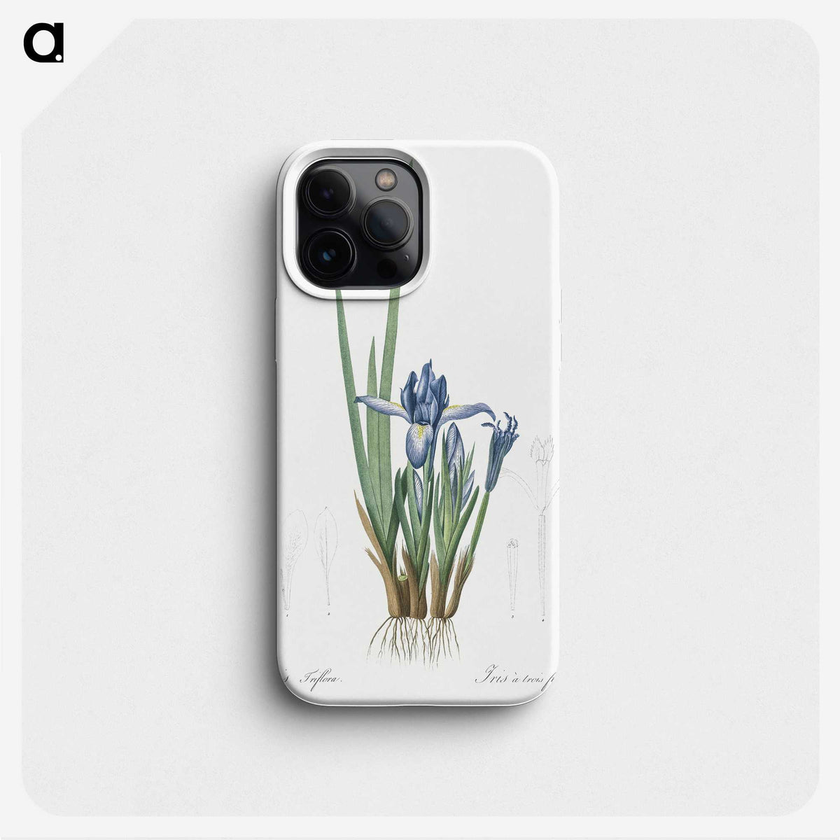 2-37_The-Lilies_phone