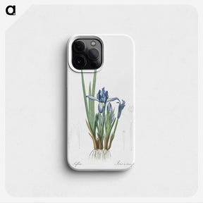 2-37_The-Lilies_phone