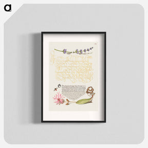 アートポスター-Hyssop, Insect, and Cuckoo Flower from Mira Calligraphiae Monumenta
 - 書道のお手本 Poster.
