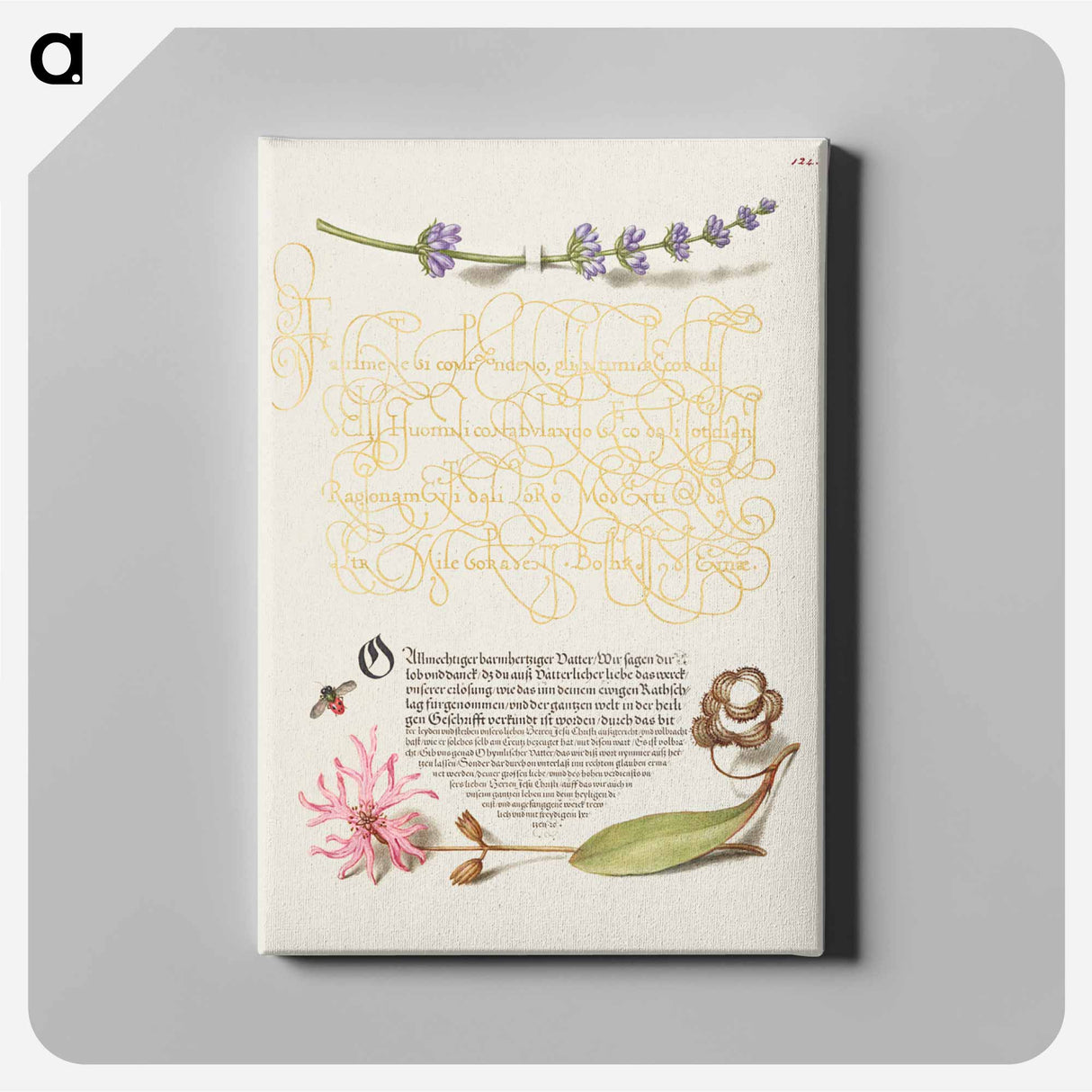 アートパネル-Hyssop, Insect, and Cuckoo Flower from Mira Calligraphiae Monumenta
 - 書道のお手本 Canvas.