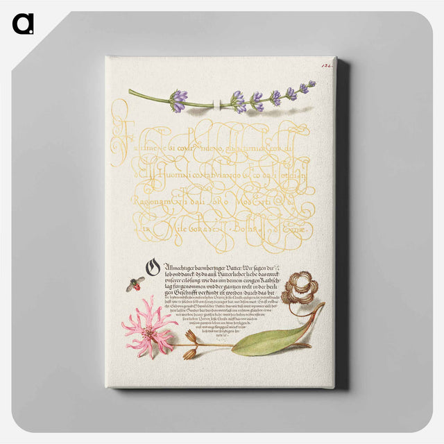 アートパネル-Hyssop, Insect, and Cuckoo Flower from Mira Calligraphiae Monumenta
 - 書道のお手本 Canvas.
