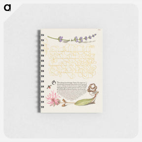 アートメモ帳-Hyssop, Insect, and Cuckoo Flower from Mira Calligraphiae Monumenta
 - 書道のお手本 Memo.