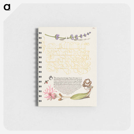 アートメモ帳-Hyssop, Insect, and Cuckoo Flower from Mira Calligraphiae Monumenta
 - 書道のお手本 Memo.