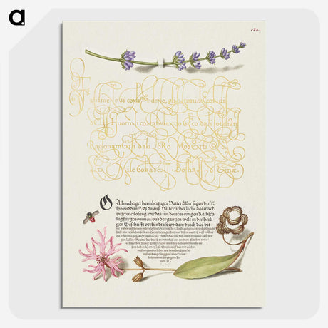 2-37_The-Model-Book-of-Calligraphy_picture-crop