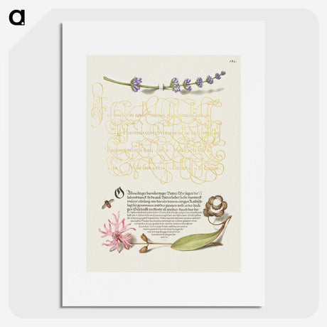 2-37_The-Model-Book-of-Calligraphy_picture