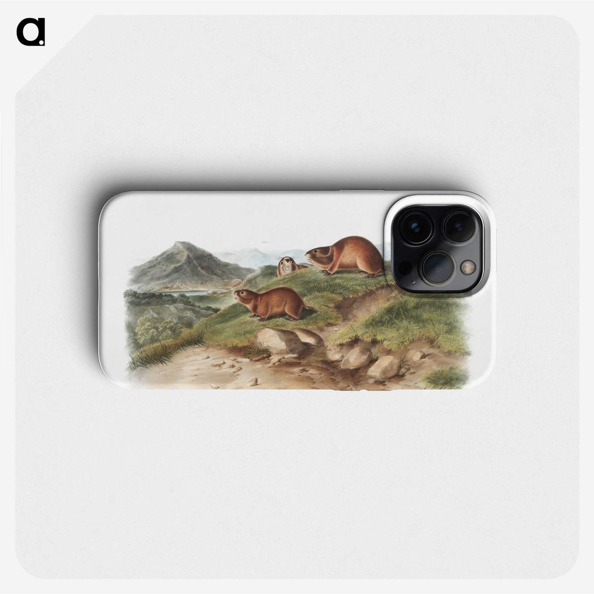 2-37_The-Viviparous-Quadrupeds_phone