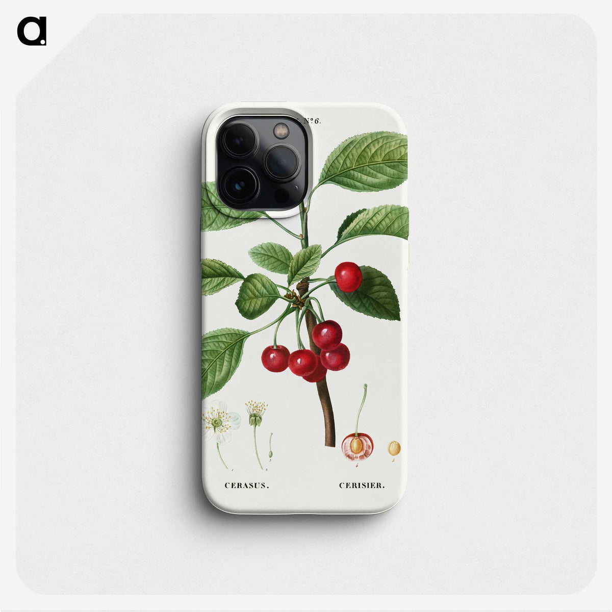 2-37_Treatise-on-Trees-and-Shrubs_phone