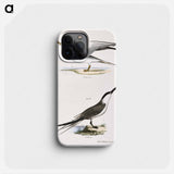 Silvery Tern (Sterna argentea) 274. Sandwich Tern (Sterna cantiaca) illustration from Zoology of New York by - ニューヨークの動物学 Phone Case.